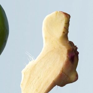 BOSS BOTTLED TONIC א.ד.ט לגבר