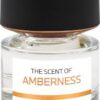 BMW THE SCENT OF AMBERNESS א.ד.פ 100 מ"ל