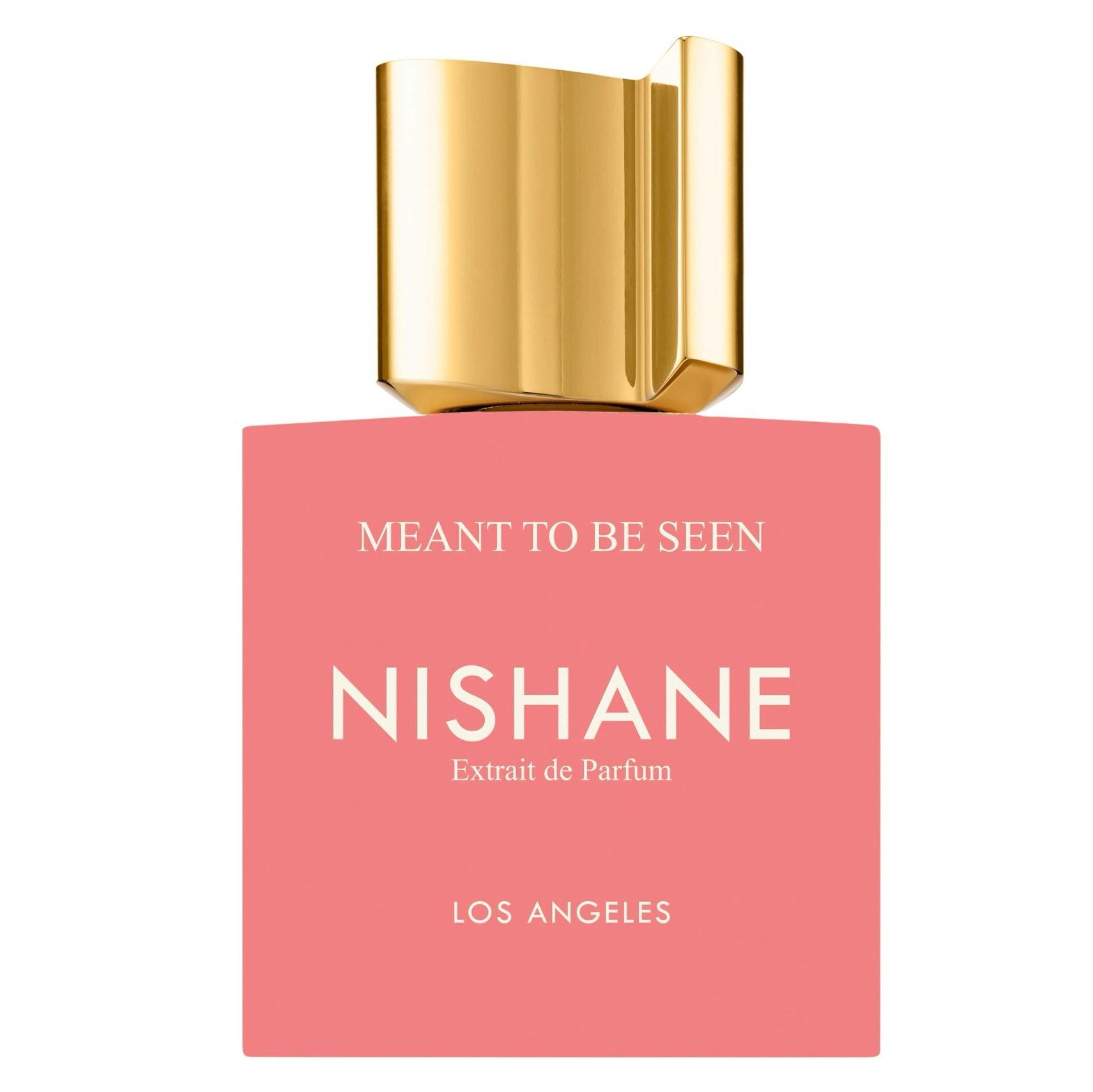 207 NISHANE MEANT TO BE SEEN EXTRAIT DE PARUM 100ML