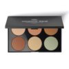 CAMOUFLAGE CONCEALER